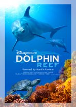 Dolphin Reef Movie
