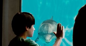 Dolphin Tale movie image 59008