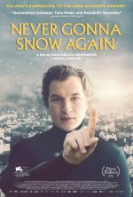 Never Gonna Snow Again poster