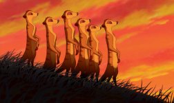 The Lion King movie image 62017