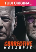 Corrective Measures poster