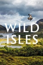 Wild Isles (series) poster