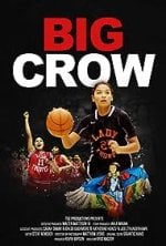 Big Crow poster