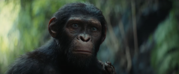 Kingdom of the Planet of the Apes movie image 745782