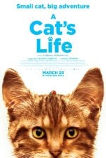 A Cat's Life Movie photos