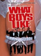 What Boys Like poster
