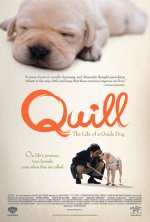 Quill: The Life of a Guide Dog poster