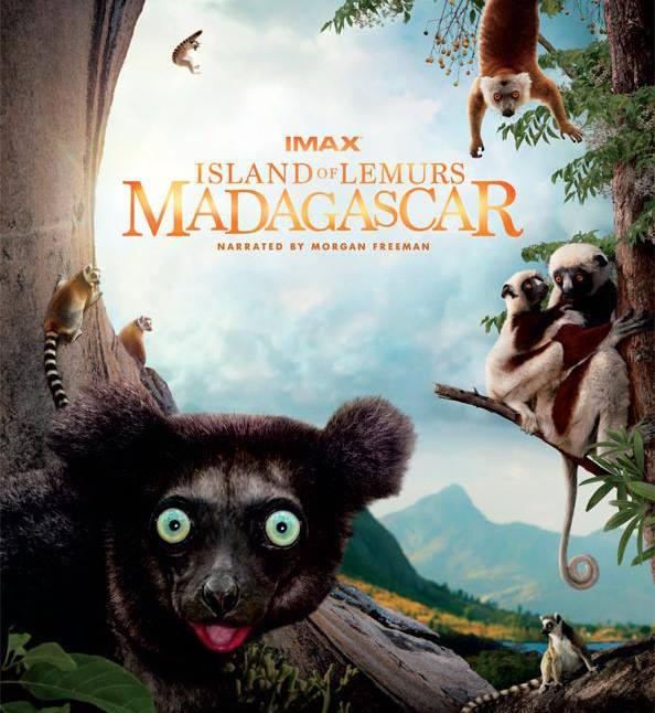 Island Of Lemurs: Madagascar (2014) movie photo - id 152623
