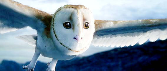 Legend of the Guardians: The Owls of Ga'Hoole (2010) movie photo - id 15673