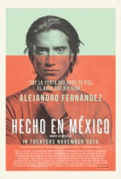 Hecho En Mexico movie poster