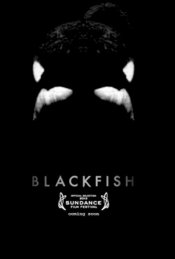 Blackfish movie poster