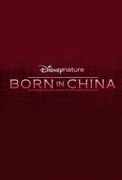 Born in China poster
