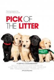 Pick of the Litter movie poster