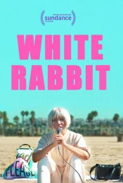 White Rabbit movie poster