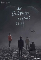 An Elephant Sitting Still poster