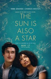 The Sun Is Also A Star poster