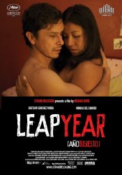 Leap Year movie poster