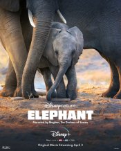 Elephants movie poster