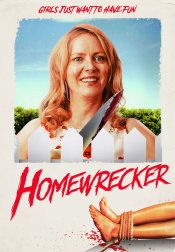 Homewrecker movie poster