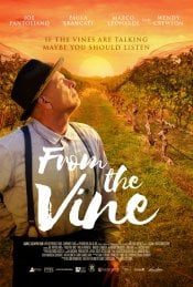 From The Vine movie poster