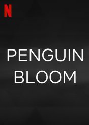 Penguin Bloom poster