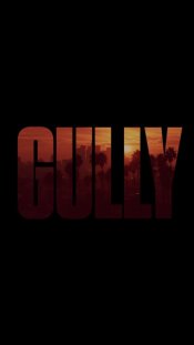 Gully movie poster