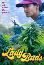 Lady Buds poster