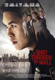 A Shot Through the Wall poster