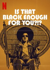 Is That Black Enough for You?!? movie poster