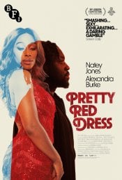 Pretty Red Dress poster