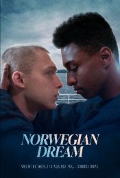 Norwegian Dream movie poster