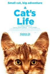 A Cat's Life movie poster