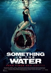Something in the Water movie poster