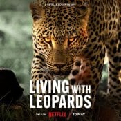 Living with Leopards movie poster