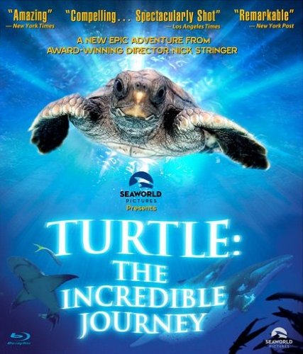 Turtle: The Incredible Journey (2011) movie photo - id 176681
