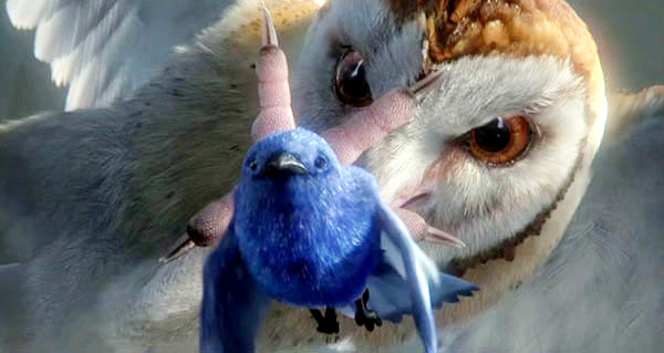 Legend of the Guardians: The Owls of Ga'Hoole (2010) movie photo - id 21277