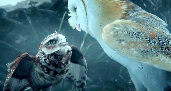 Legend of the Guardians: The Owls of Ga'Hoole (2010) movie photo - id 21278