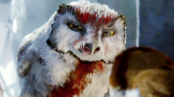 Legend of the Guardians: The Owls of Ga'Hoole (2010) movie photo - id 21279