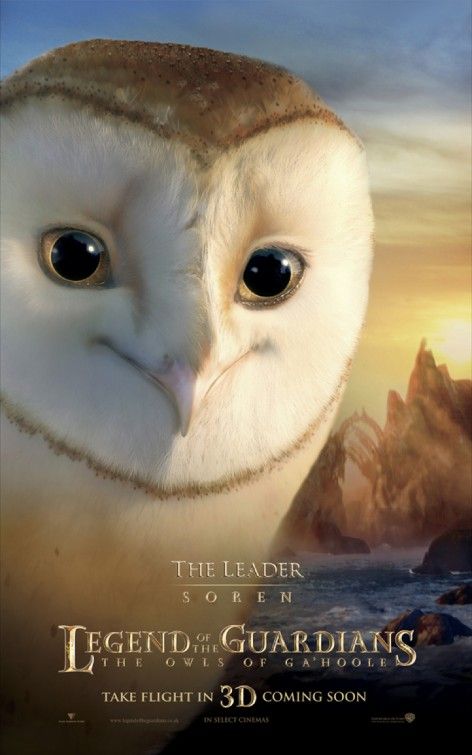 Legend of the Guardians: The Owls of Ga'Hoole (2010) movie photo - id 22935
