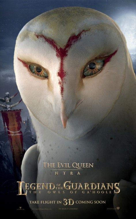 Legend of the Guardians: The Owls of Ga'Hoole (2010) movie photo - id 22937