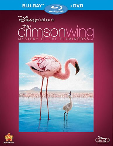 The Crimson Wing: Mystery of the Flamingos (2010) movie photo - id 23581