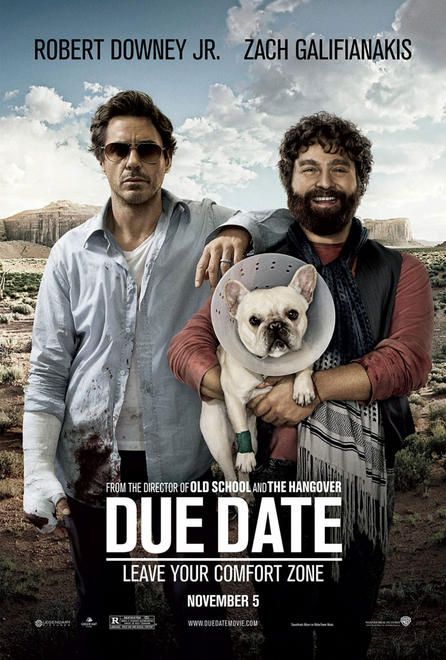 Due Date (2010) movie photo - id 25262