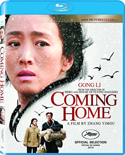 Coming Home (2015) movie photo - id 294541