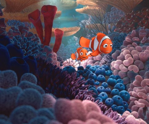 Finding Nemo 3D (2012) movie photo - id 36182