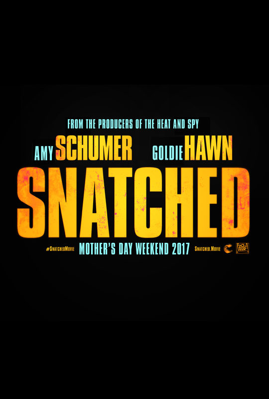 Snatched (2017) movie photo - id 400381