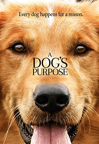 A Dog's Purpose (2017) movie photo - id 422204