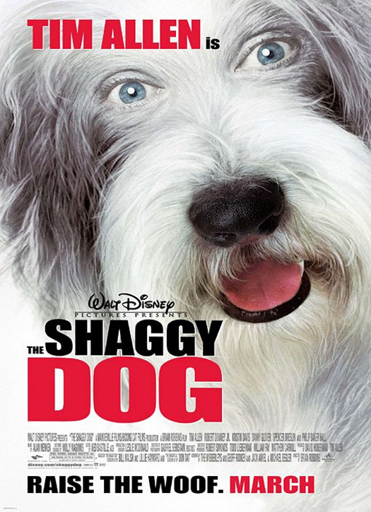 The Shaggy Dog (2006) movie photo - id 4325