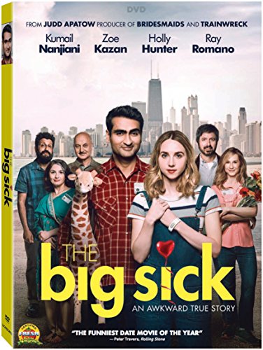 The Big Sick (2017) movie photo - id 468754