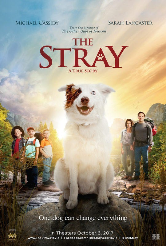 The Stray (2017) movie photo - id 472888