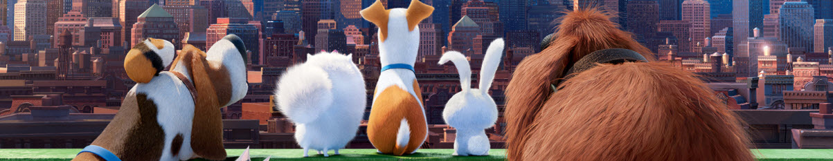 Universal Moves 'Secret Life of Pets 2' Up a Month